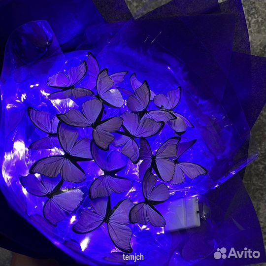 Светящийся букет из бабочек