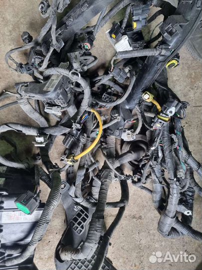 Проводка подкапотная солярис 2 1.4 механика