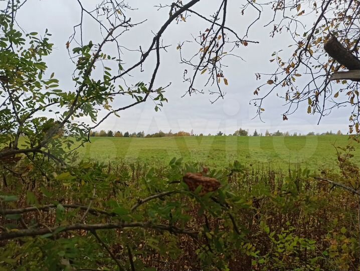 Участок 14,13 га (ИЖС)