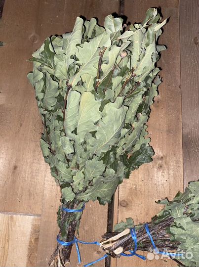 Веники дубовые для бани