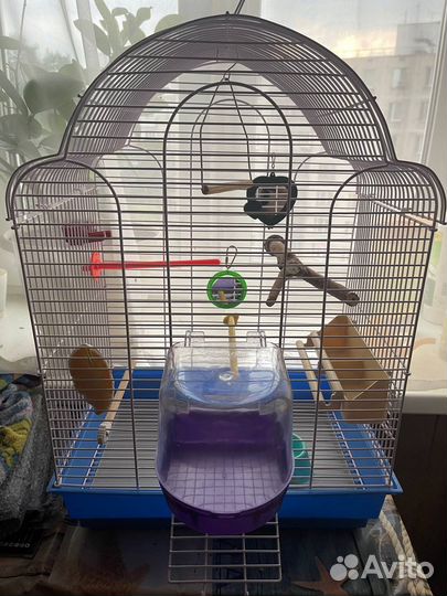 Клетка для птиц