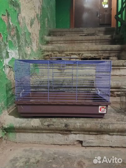 Клетка для грызунов бу