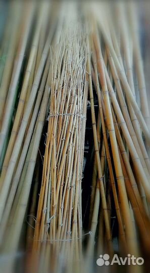 Опора для цветов