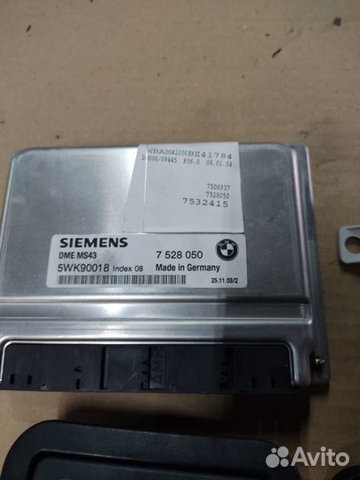 Набор личинок с EVS E39 универсал