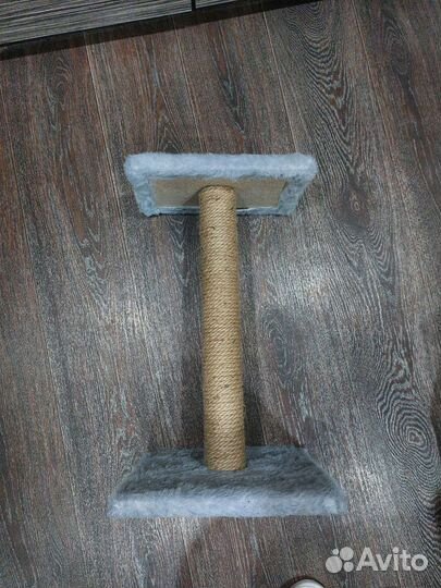 Когтеточка