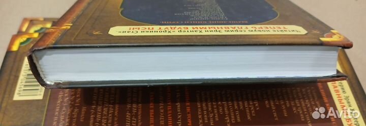 Коты воители Возрождение