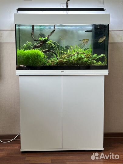 Аквариум с тумбой и рыбками