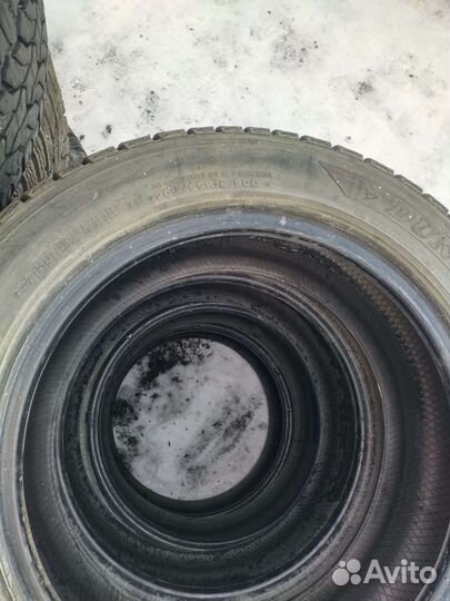 Dunlop Graspic DS2 205/55 R16