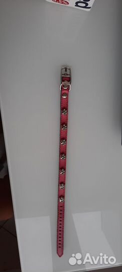 Поводок для маленьких собак и кошек