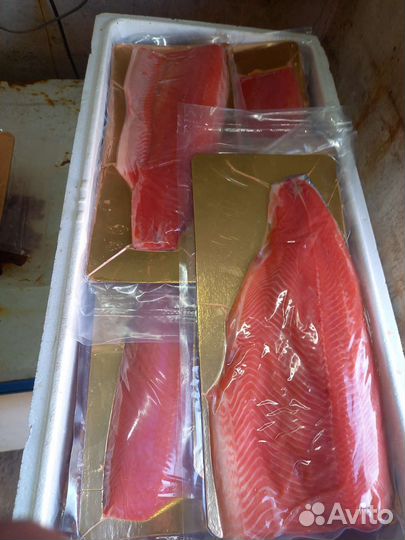 Филе форели