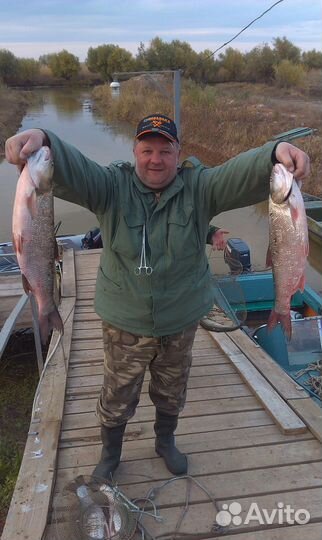 Рыбалка в Астрахани (охота)