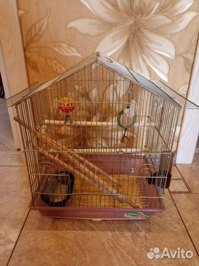 Клетка для попугая