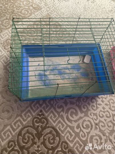Клетка для морской свинки