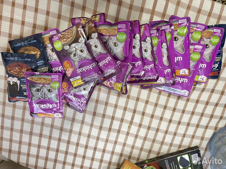 Корм для кошек вискас желе пакеты