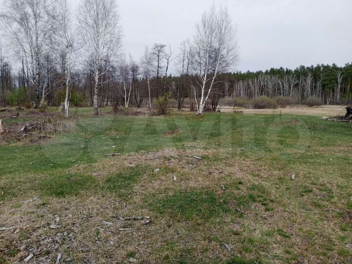 Участок 15 сот. (ИЖС)