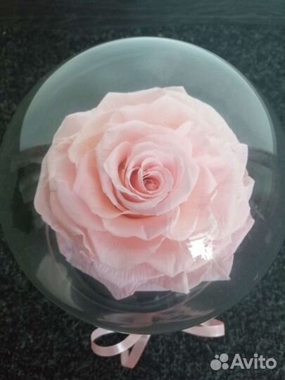 Вечная роза в колбе