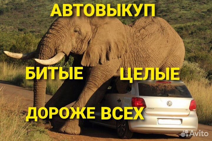 Автовыкуп целые битые после дтп выкуп авто