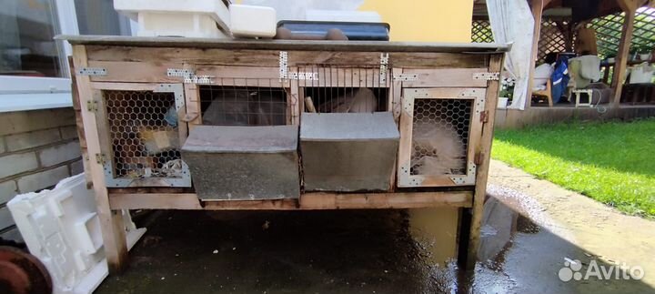 Клетки для кроликов бу