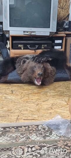 Имитация шкуры медведя