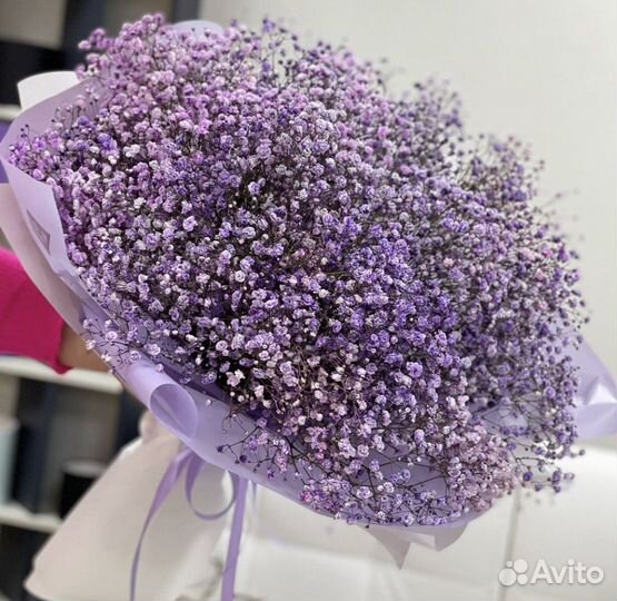 Гипсофила Голладская Цветы Букеты Доставка 24/7