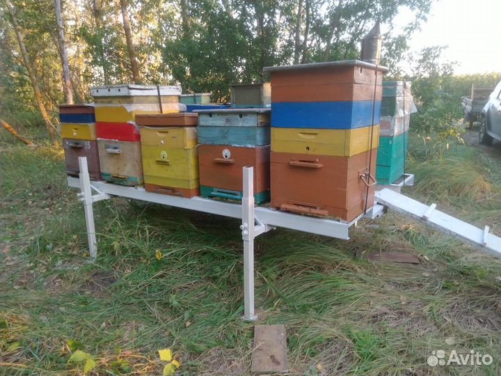 Пчеловодческая платформа