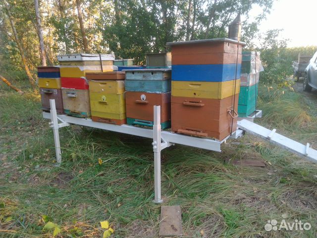 Пчеловодческая платформа