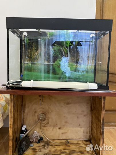 Аквариум