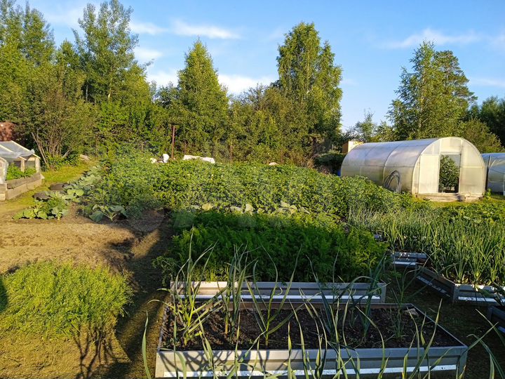 Дача 50 м² на участке 10 сот.