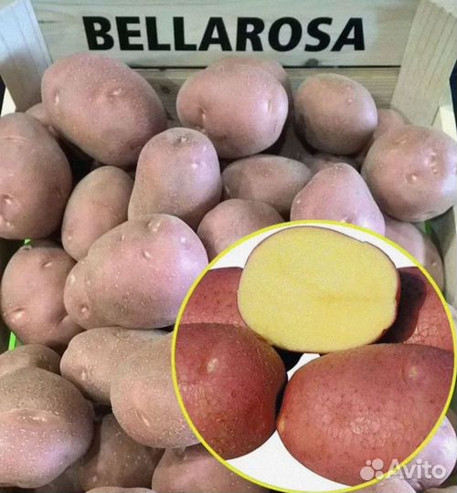 Картофель с доставкой на дом,офис