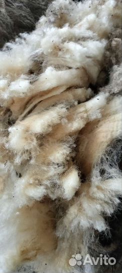 Шерсть мереноса