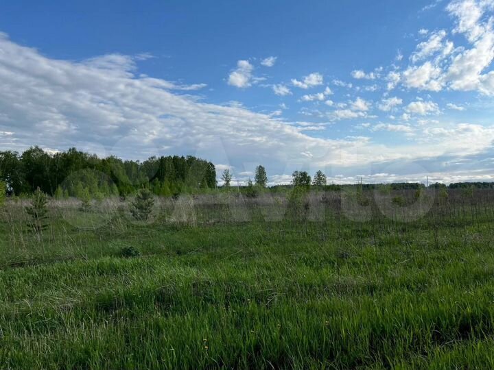 Участок 15 сот. (СНТ, ДНП)