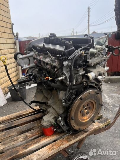 Двигатель ford focus 2 1.8 qqdb