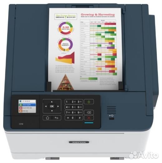 Принтер Xerox C310V DNI A4 Duplex Net WiFi