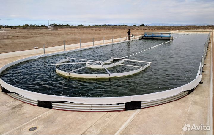 Фотобиореакторы Хлорелла, Спирулина и др