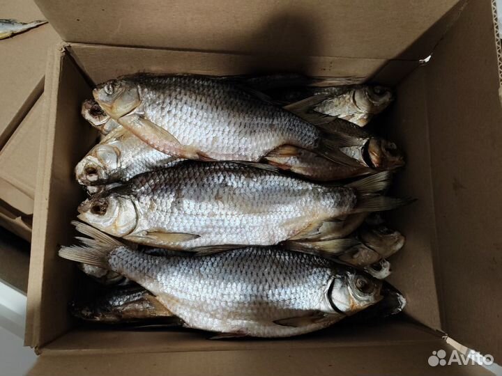 Вобла в наличии Москва