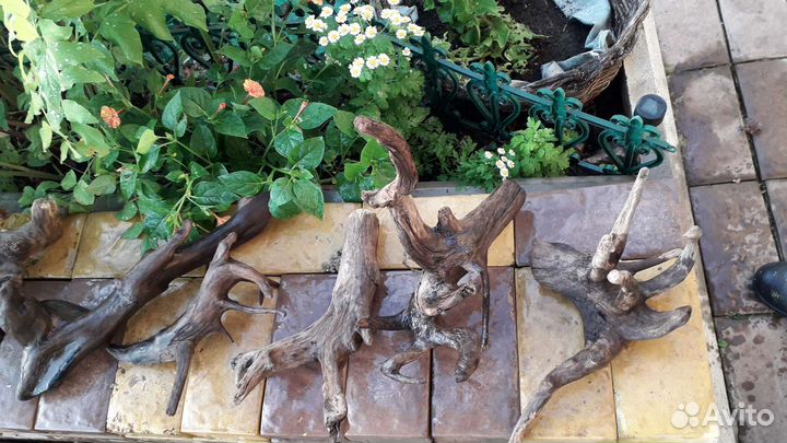 Коряги для аквариума