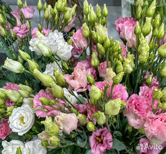 Цветы букеты с доставкой