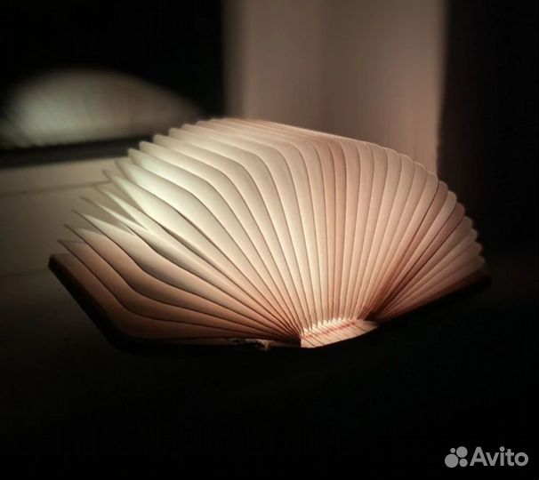 Ночник книга