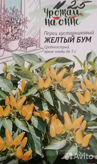 Рассада перцев