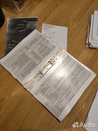 Теория по русскому языку