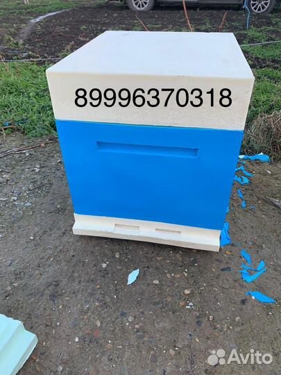 Ульи ппу дадан