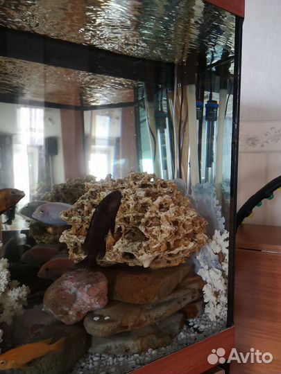 Аквариум с тумбой 400 литров