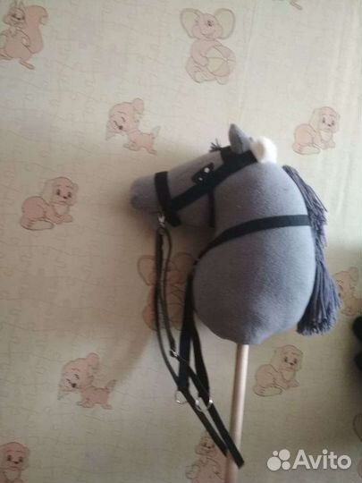 Для конного спорта