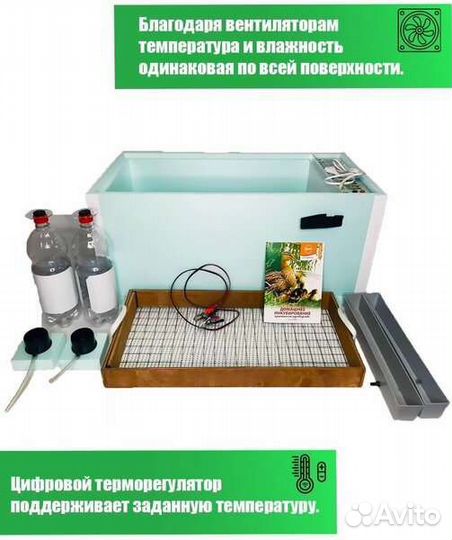 Инкубатор Дели