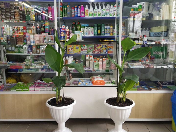 Торговая площадь, 130 м²