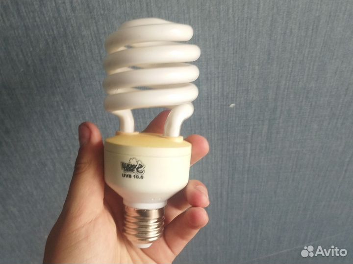 Лампочка для ящерицы