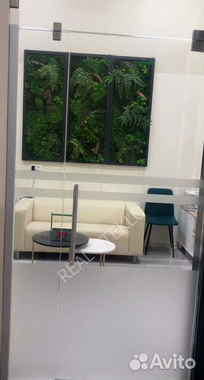 Стеклянные двери на заказ