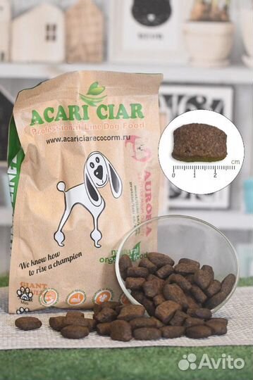 Сухой корм для собак