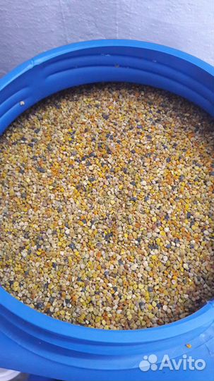 Алтайский мед