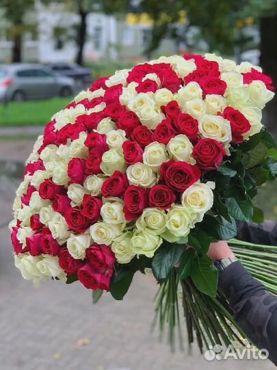 101 Роза Цветы Букеты 501 51 25 Роз Доставка